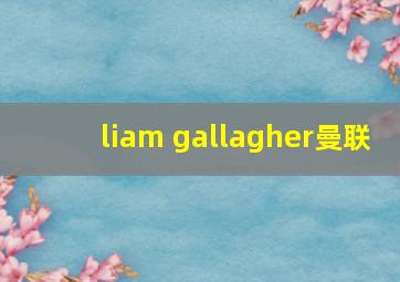 liam gallagher曼联